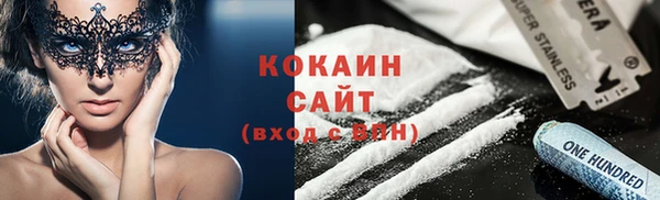 винт Няндома