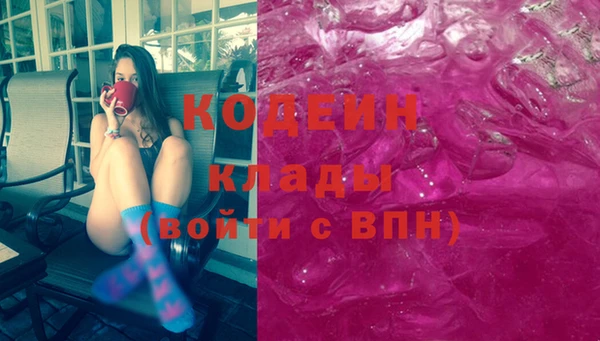 винт Няндома