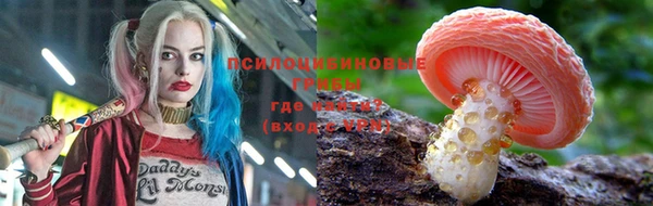 СК Валуйки