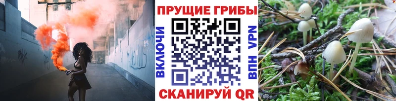 Галлюциногенные грибы Magic Shrooms Углегорск